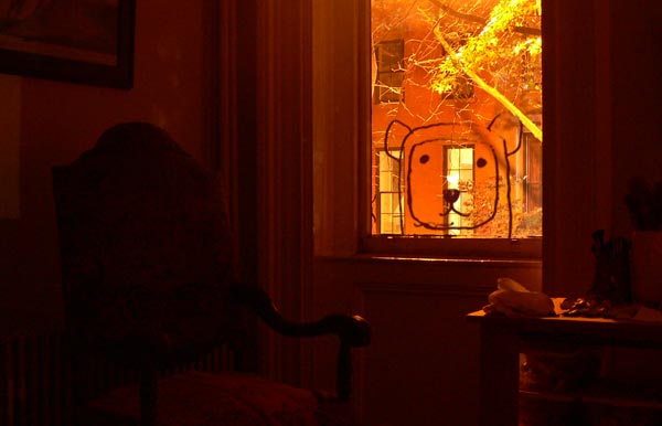 pbear_window.jpg